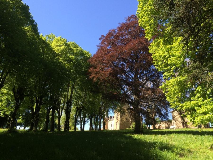Château de la Forie Saint-Etienne-sur-Usson Exterior foto